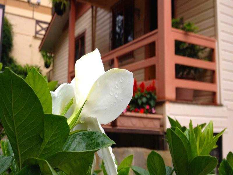 Pousada Jasmim Gramado Ngoại thất bức ảnh